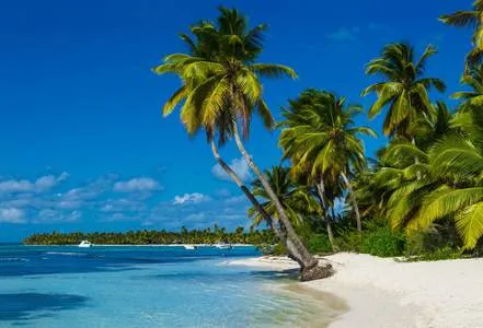 Pointe a Pitre