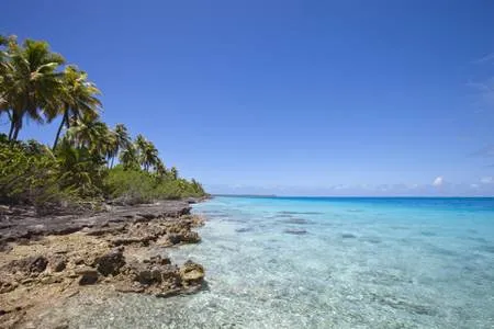 Pointe a Pitre