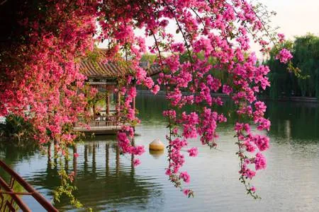Guangzhou