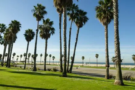 Los Angeles