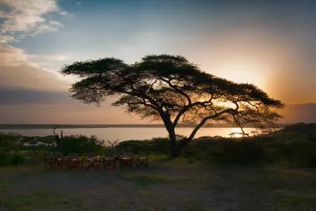 Maun