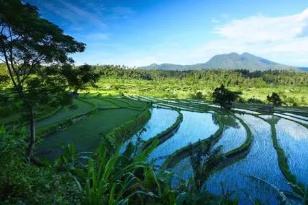 Denpasar Bali