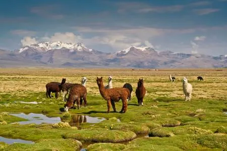 La Paz