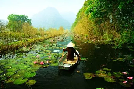 Ho Chi Minh