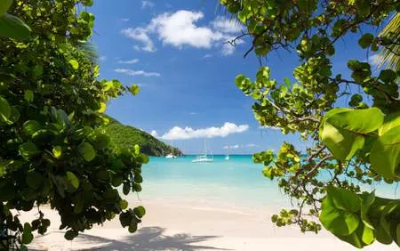 Fort de France