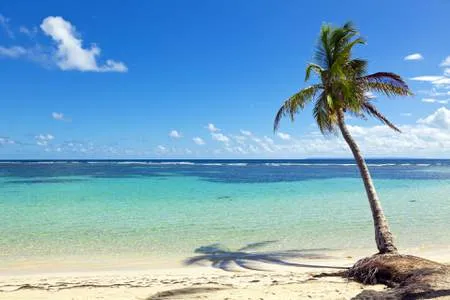 Pointe a Pitre