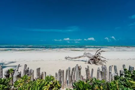 Zanzibar