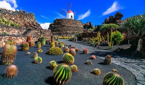 Lanzarote