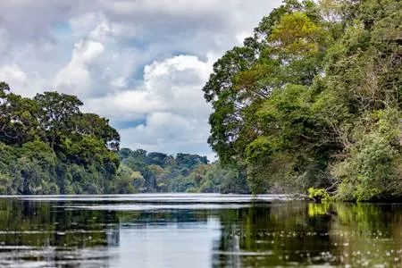 Maun