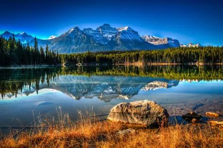 Whitehorse