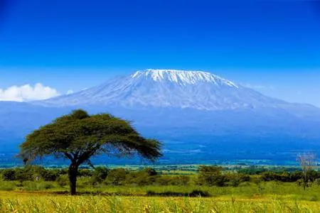 Kilimanjaro