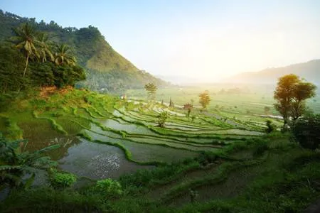 Denpasar Bali